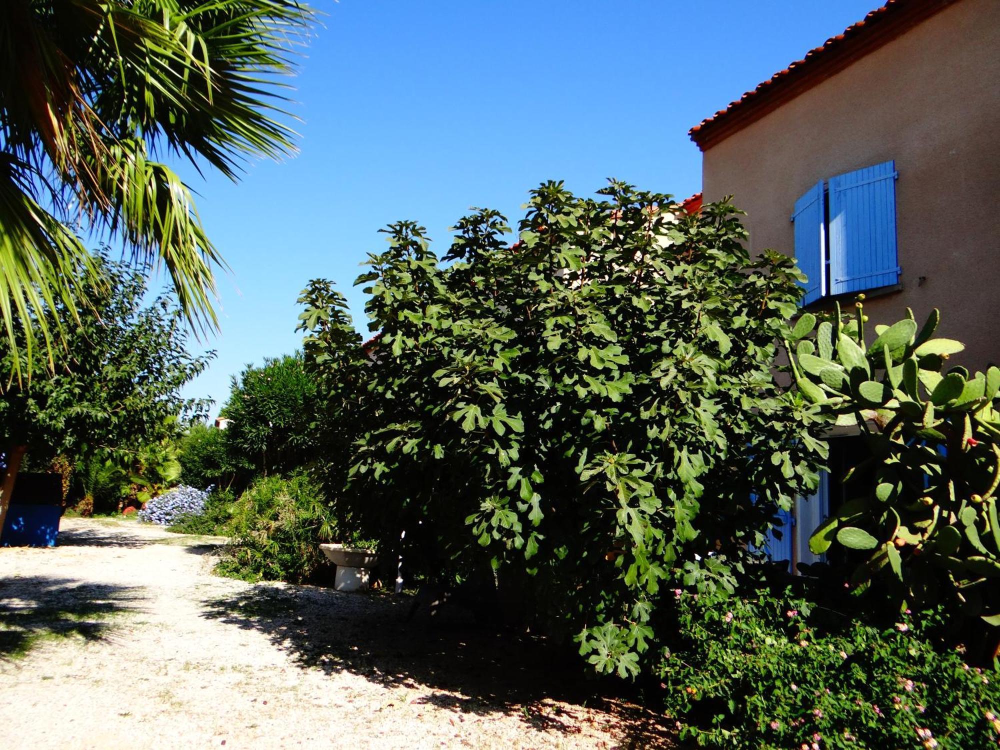 Residence L'Orangeraie-2-Claira 66530 Eksteriør bilde